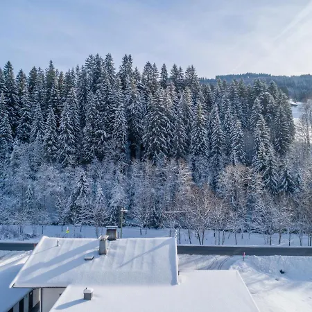 Apartament Blick Auf Den Rettenstein 1 Und 2 Kirchberg in Tirol
